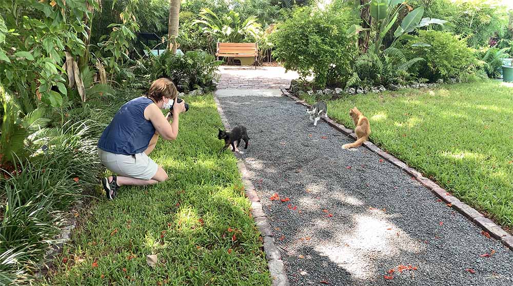 Leslie Shooting Cats At The Ernest Hemingway Home and Museum