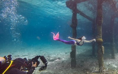 …Shooting a Mermaid at Buddy Dive